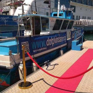 Gibraltar: Dolphin Cruise