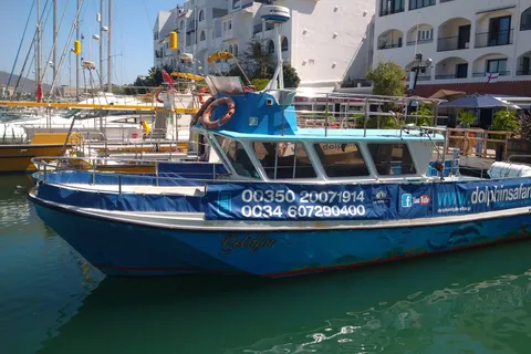 Gibraltar: Tour en barco para avistar delfines V.I.P