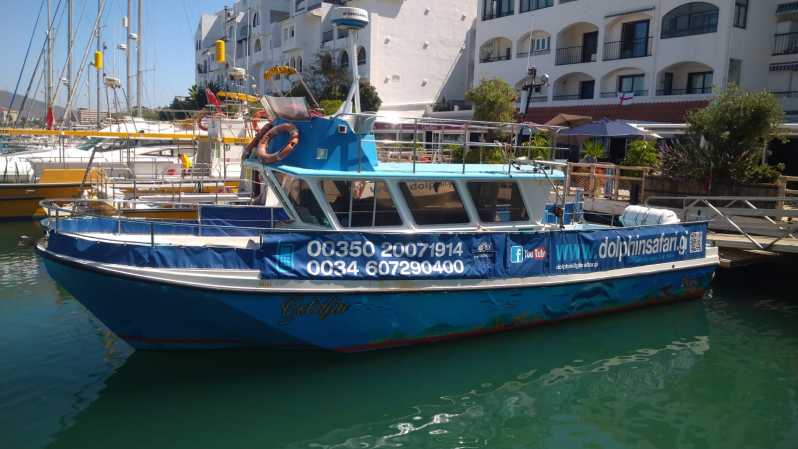 Гибралтар: наблюдение за дельфинами на Blue Boat Dolphin Safari