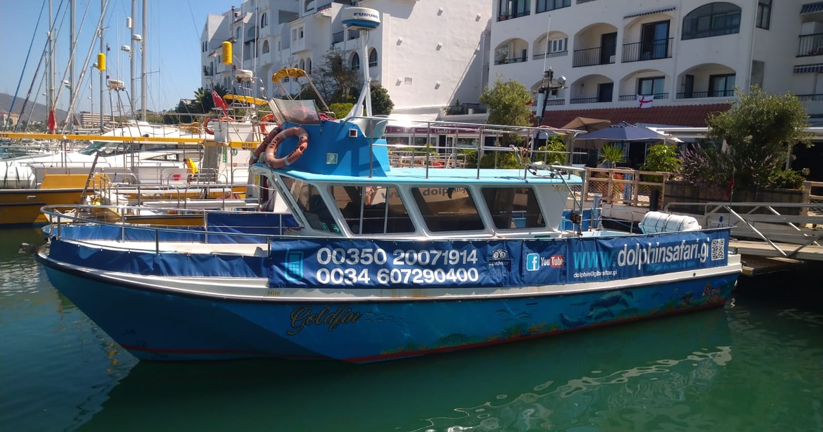 Gibraltar Båttur Med Delfinskådning Getyourguide