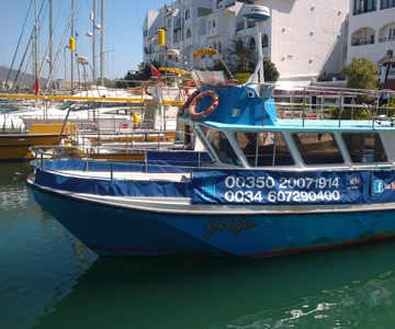 Gibraltar: Dolphin Watching Boat Tour V.I.P