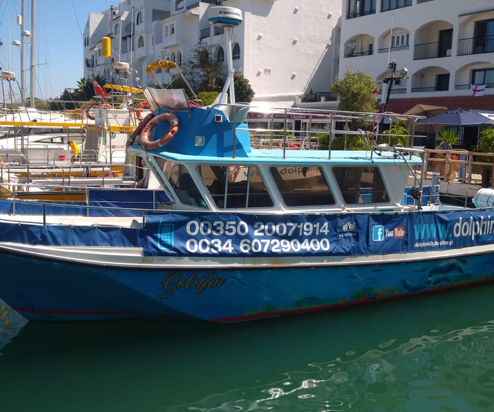 Gibraltar: Dolphin watching with Blue Boat Dolphin Safari