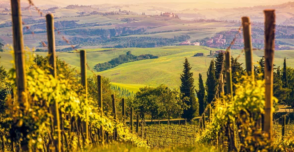 Florence: Chianti Wineries Tour with Food and Wine Tasting