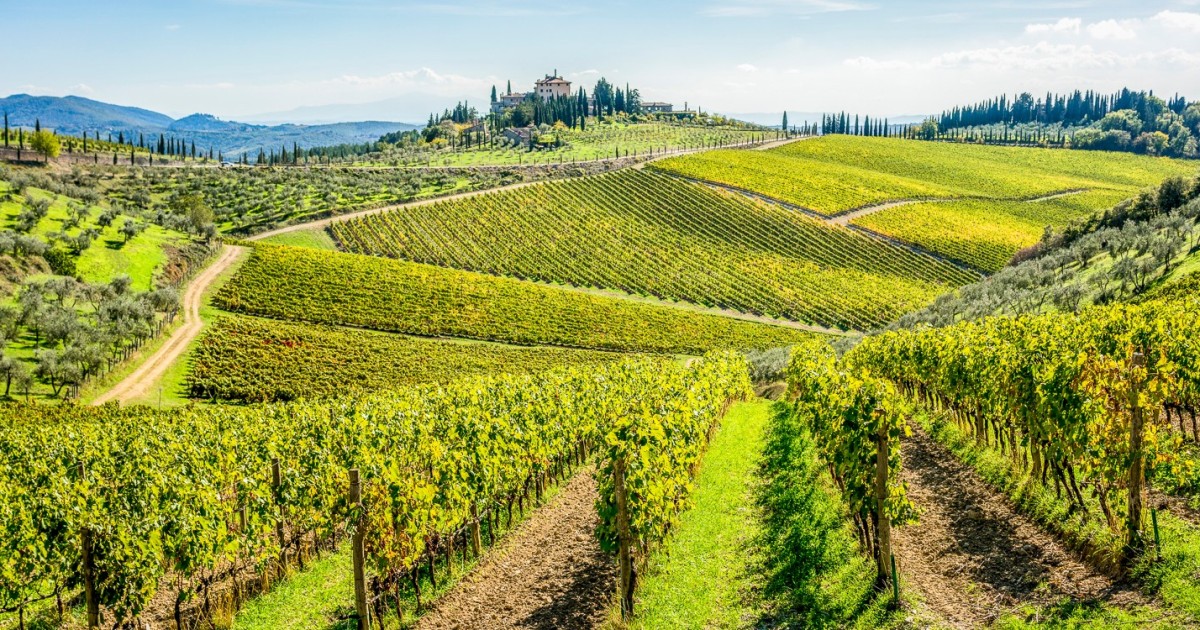 get your guide florence wine tour