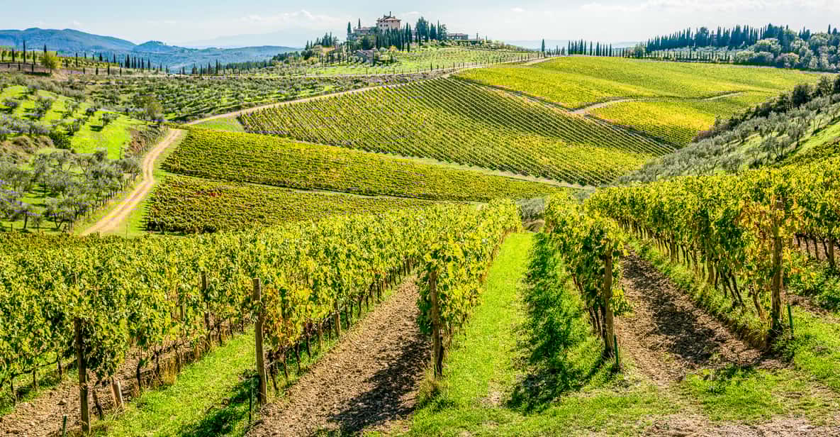 Florence: Chianti Wineries Tour with Food and Wine Tasting