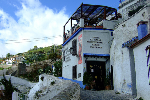 Granada: Albaicín and Sacromonte Guided Walking TourTour in Spanish