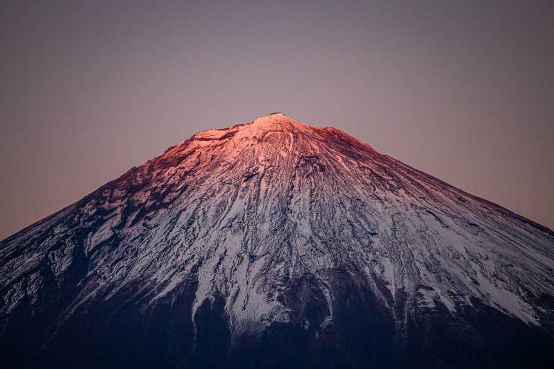 Da Tokyo: Tour di un giorno del Monte Fuji con autista