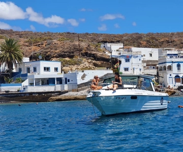 Tenerife: South Island Boat-Trip and Sea Excursion