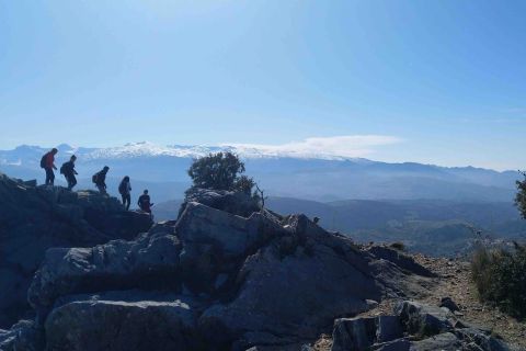 Granada: 4-Hour Federico García Lorca Guided Hike to Alfacar