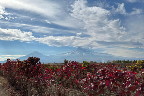 Viaje al Sur de Armenia։Khor Virap, Areni y Noravank