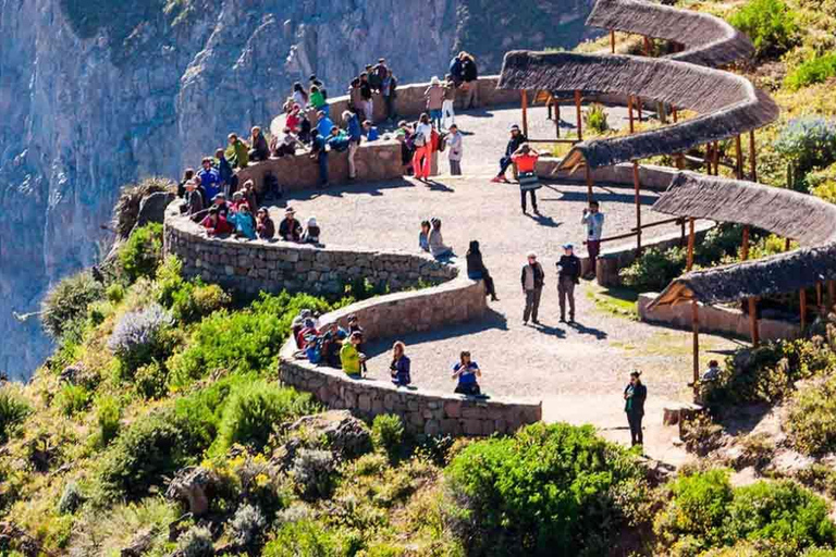 Arequipa : Aventure à Chivay et point de vue sur le Canyon de Colca