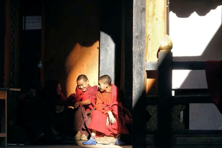 Pokhara: Queen Forest Hike to Santi Stupa & Lake Boating