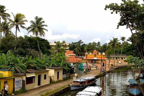 Croisière exclusive en bateau à moteur dans le Kerala, le même jour, à Alleppey