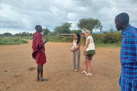 OVER NIGHT AMBOSELI PARK FROM NAIROBI BUDGET SAFARI.