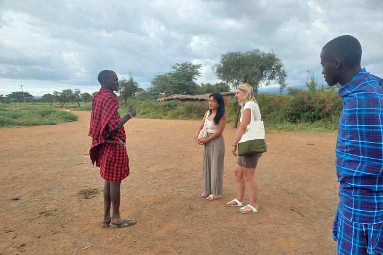 OVER NIGHT AMBOSELI PARK FROM NAIROBI BUDGET SAFARI.