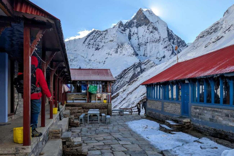 Pokhara: Easy 5-Day Annapurna Base Camp Trek