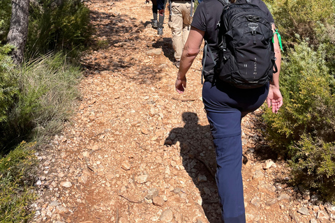 Aix-en-Provence: Watercolor and Sketching Walk in the Footsteps of Cézanne