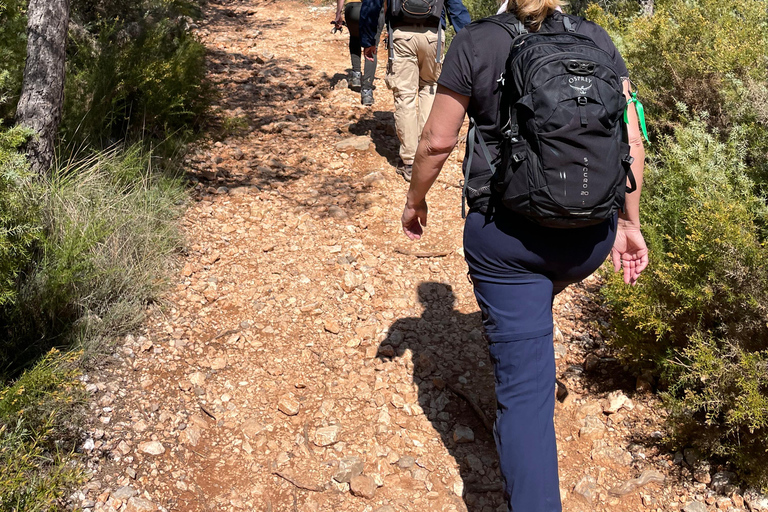 Aix-en-Provence: Watercolor and Sketching Walk in the Footsteps of Cézanne