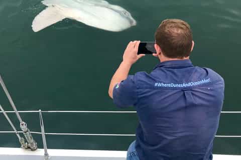 Walvis Bay: Marine Big 5 Luxury Catamaran Tour