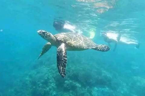 Escursione giornaliera Snorkeling Gili Layar/Gili Gede&amp;Gili Rengit