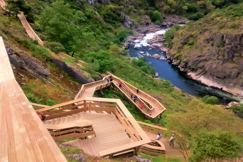 Porto: Escursione alle Passeggiate di Paiva e al Ponte Sospeso con pranzoPorto: Passeggiate di Paiva e Ponte Sospeso Escursione su sentiero completo