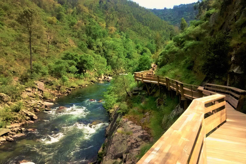 Porto: Escursione alle Passeggiate di Paiva e al Ponte Sospeso con pranzoPorto: Passeggiate di Paiva e Ponte Sospeso Escursione su sentiero completo