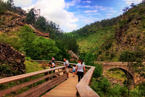 Von Porto: Paiva Walkways und Arouca 516 Fußgängerbrücke