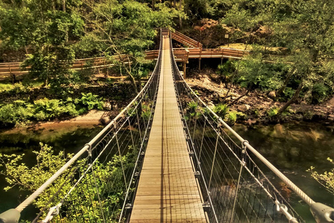 Porto: Escursione alle Passeggiate di Paiva e al Ponte Sospeso con pranzoPorto: Passeggiate di Paiva e Ponte Sospeso Escursione su sentiero completo