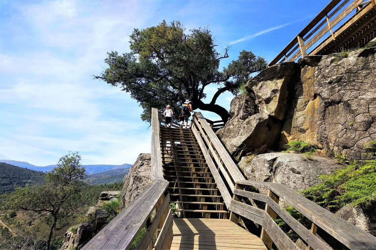 Von Porto: Paiva Walkways und Arouca 516 Fußgängerbrücke