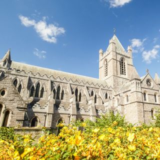 Dublin: Private Walking Tour with Pickup