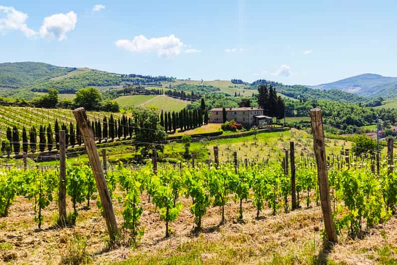 Florence Chianti Wineries Tour with Food and Wine Tasting GetYourGuide