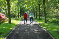 Oudenbosch, caminata de la ciudad guiada - Housity