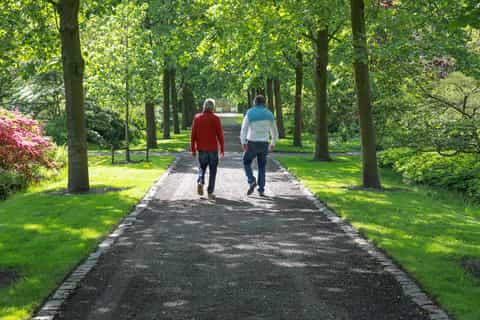 Oudenbosch: Guided City Walk