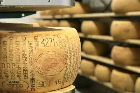 Parme : visite et dégustation de Parmigiano-Reggiano