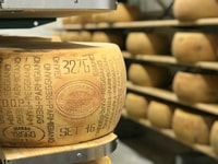 Parma, Parmigiano-Reggiano Tour en proeverij - Housity