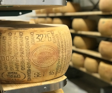 Parma: Parmigiano-Reggiano Tour and Tasting