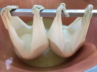 Parma, tour e degustazione di Parmigiano-Reggia - Housity