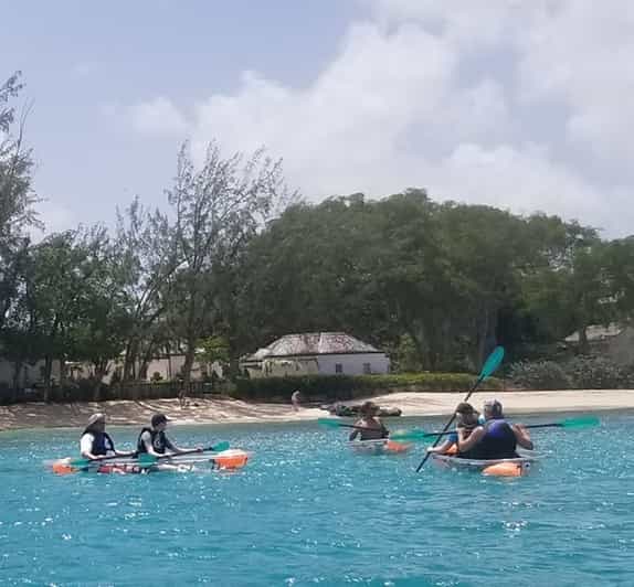 Barbados Folkestone Coral Reef Clear Kayak Tour GetYourGuide