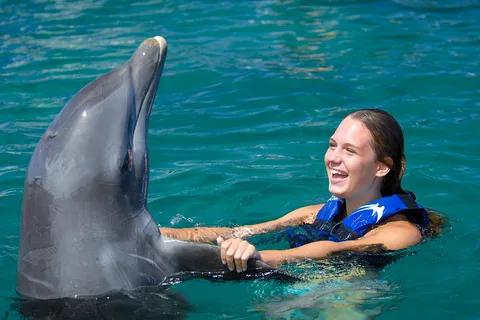 Punta Cana: nada e interactúa con delfines