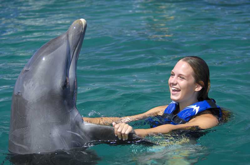 Punta Cana: nada e interactúa con delfines