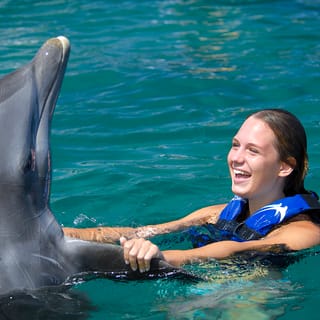 Punta Cana: Dolphin Explorer Swims and Interactions