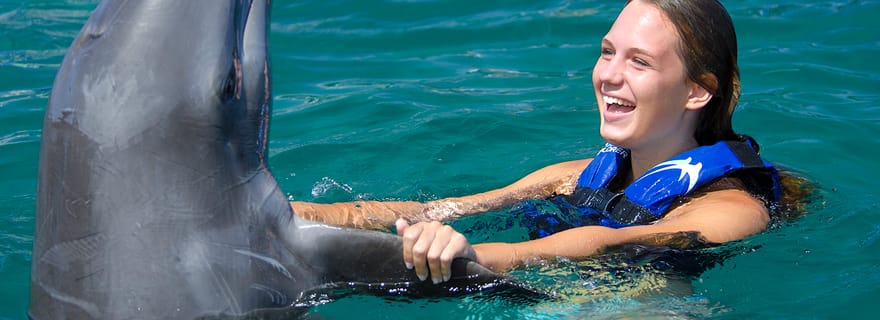 Punta Cana : Baignades et interactions avec les dauphins