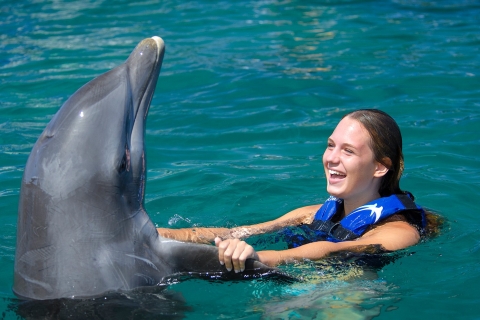 Punta Cana: Dolphin Explorer Swims and Interactions General Admission - No Swim Included