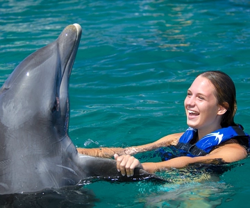 Punta Cana: Dolphin Explorer pływa i interakcje
