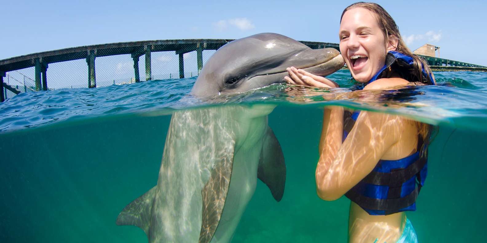 Удовольствие с дельфином. Dolphin Explorer. Остров дельфинов Пунта Кана. Dolphin Explorer Доминикана. Пунта Кана дельфины.