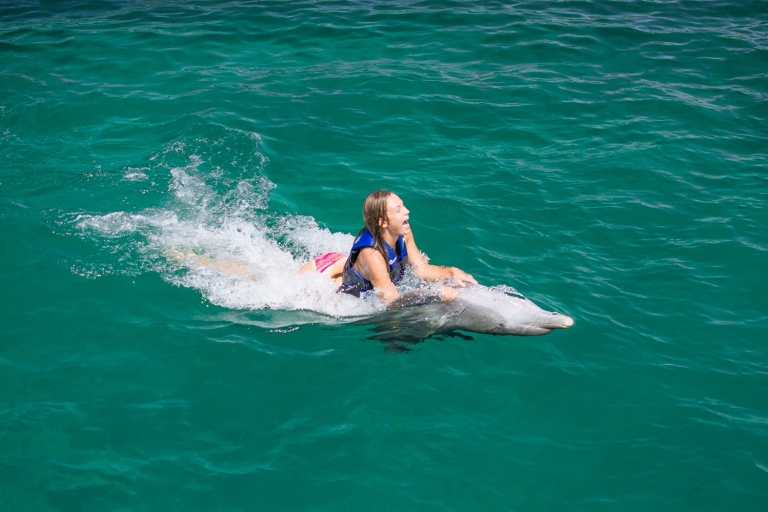 Punta Cana: Dolphin Explorer – Schwimmen & Hautnah-BegegnungFuntastic Dolphin Encounter