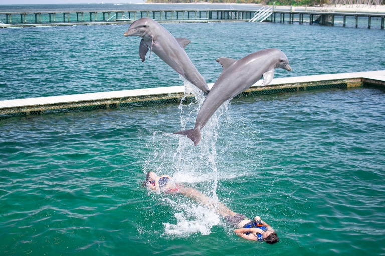 Punta Cana: Dolphin Explorer-zwemmen en interactiesLeuke ontmoeting met dolfijnen