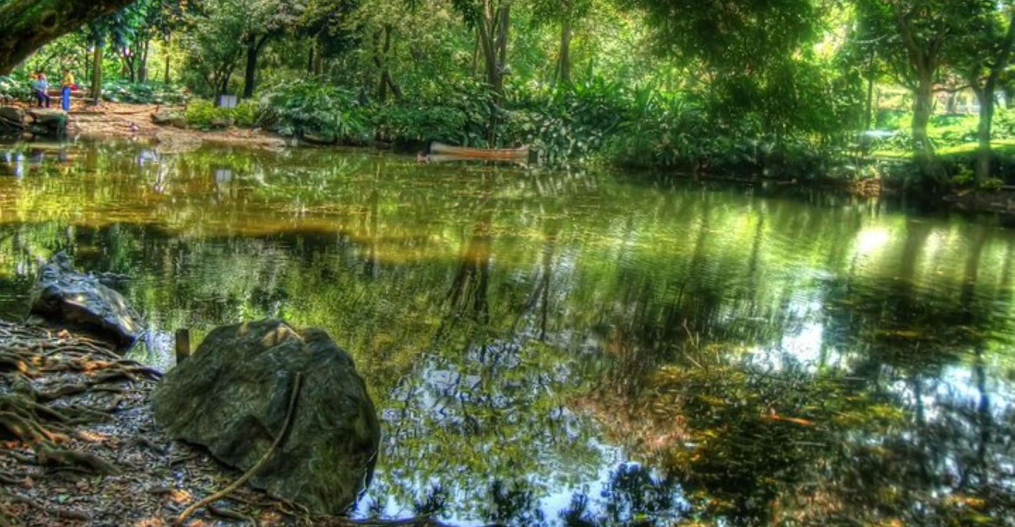 Medellín, Botanische Gärten Halbtagestour - Hizvo