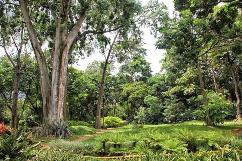 Medellín: Botanische Tuinen Halve Dag TourBotanische Tuinen Halve Dag Tour