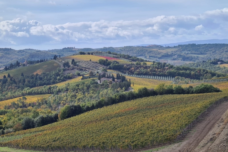 Florence: Toscane & Chianti Classico Trek & wijn met lunchVolledig privé-ervaring